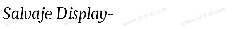 Salvaje Display字体转换